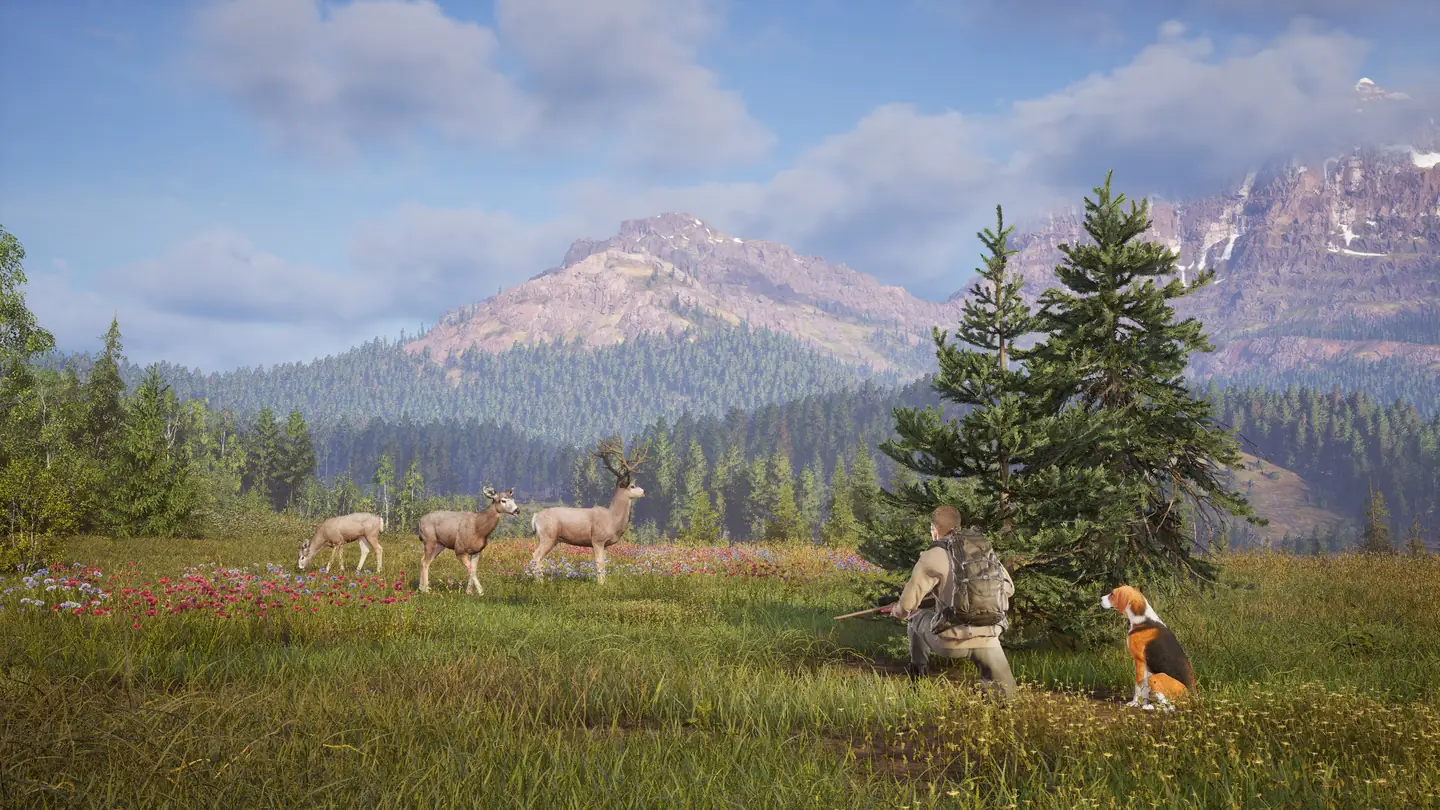 Way of the Hunter 2 Tips: Tracking, Wind, Calls and Your Dog