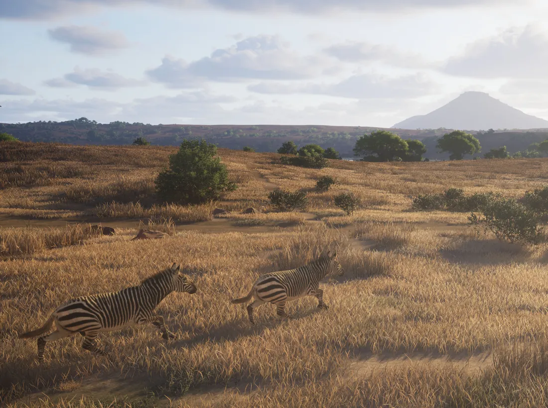 Kilimaya Reserve Guide: Africa Map, Animals and Tactics